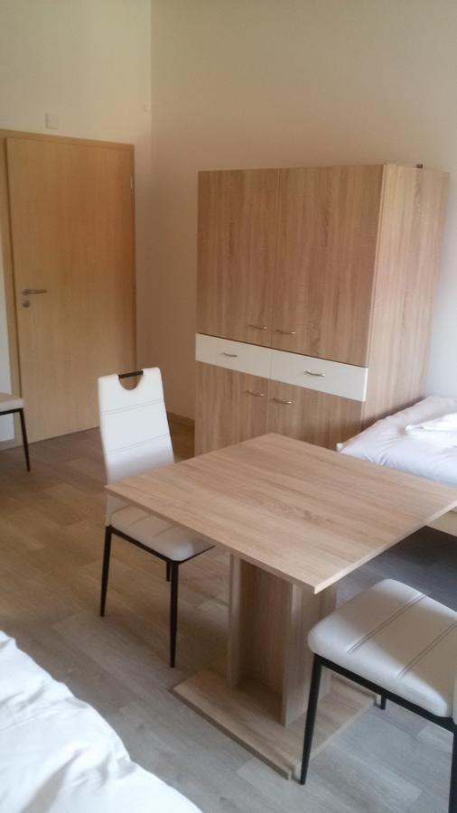 Vinárna a Pension U Langrů Dolni Vestonice Exterior foto